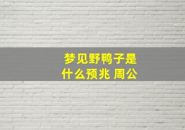 梦见野鸭子是什么预兆 周公